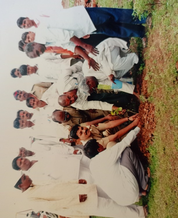 फळबाग वृक्षारोपण